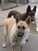 Enlarge photo 136