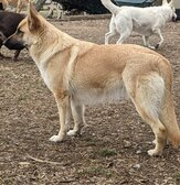 Enlarge photo 128