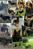 Enlarge photo 407