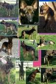 Enlarge photo 412