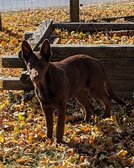 Enlarge photo 174
