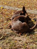 Enlarge photo 160