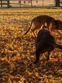 Enlarge photo 140