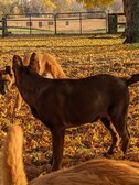 Enlarge photo 141