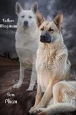 Enlarge photo 522