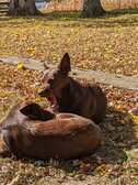 Enlarge photo 159
