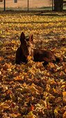 Enlarge photo 147