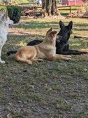 Enlarge photo 155