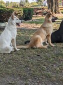 Enlarge photo 242
