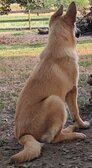 Enlarge photo 111