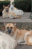 Enlarge photo 47