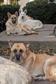 Enlarge photo 29