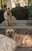 Enlarge photo 26