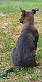 Enlarge photo 257