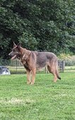 Enlarge photo 59