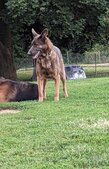 Enlarge photo 52