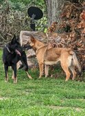 Enlarge photo 29
