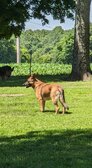 Enlarge photo 18