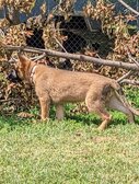 Enlarge photo 169