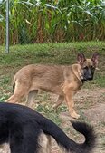 Enlarge photo 120