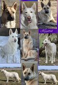 Enlarge photo 373