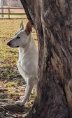 Enlarge photo 154