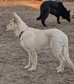 Enlarge photo 266