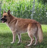 Enlarge photo 246