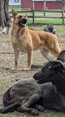 Enlarge photo 16