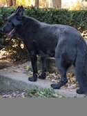 Enlarge photo 162
