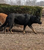 Raydiant Gossip Girl Dear Abby