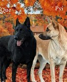 Enlarge photo 155