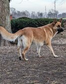 Enlarge photo 32