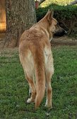 Enlarge photo 139