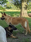 Enlarge photo 151