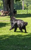 Enlarge photo 146