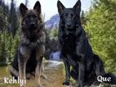 Enlarge photo 164
