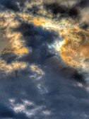 Enlarge photo 235