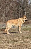 Enlarge photo 55