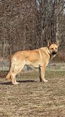 Enlarge photo 149