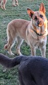 Enlarge photo 165