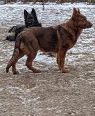 Raydiant Turning Point