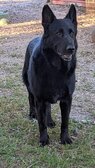 Enlarge photo 229
