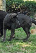 Enlarge photo 129
