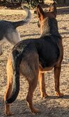 Enlarge photo 159