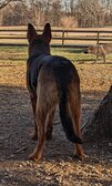 Enlarge photo 151