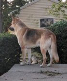 Enlarge photo 8