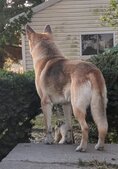 Enlarge photo 4