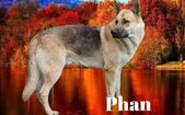 Enlarge photo 110