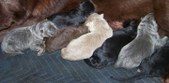 Enlarge photo 357